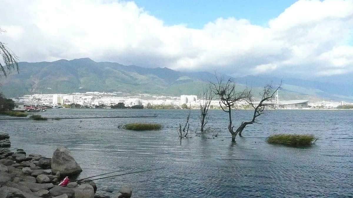 洱海湖面与大理城区