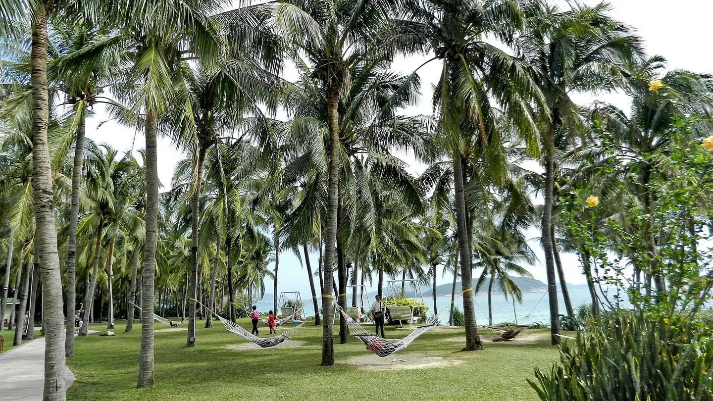 三亚 · Sanya 城市风景